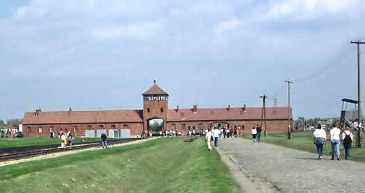 image007 Ausw. Birkenau