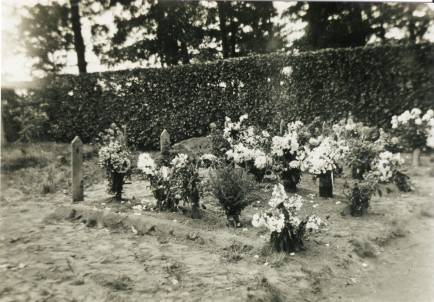 image010