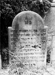 Grafsteen Pinchias Zeligman