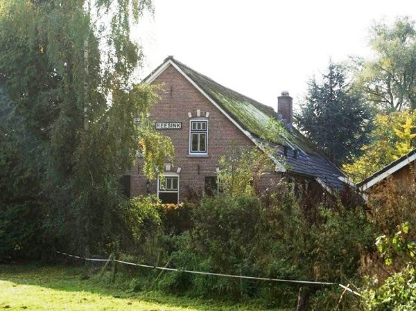 Image1