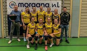 download 3 contact nieuwe shirts dames