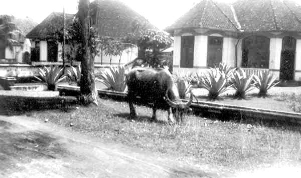 gebouwen